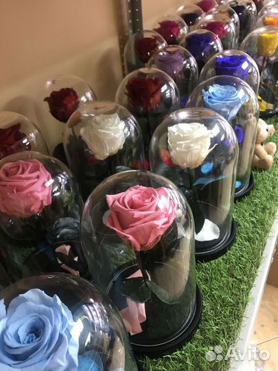 Вечная роза в колбе