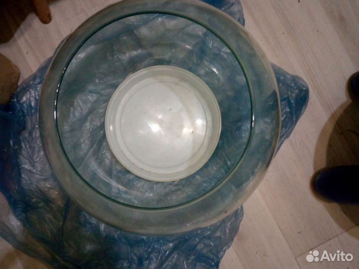 Аквариумные рыбки