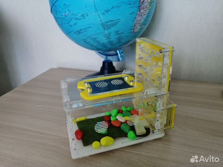 Муравьиная ферма без муравьев