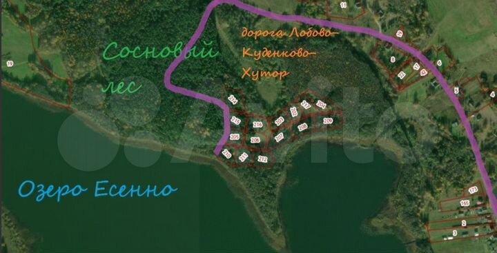 Участок 4,3 га (ИЖС)