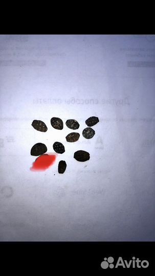 Копейка Петра 1 (чешуя)