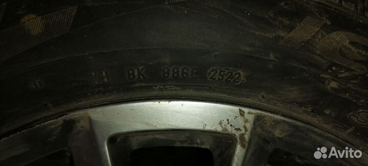 Pirelli Ice Zero 205/55 R16