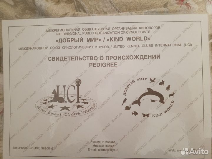 Продаются щенки немецкой овчарки