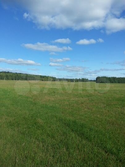 Участок 4,3 га (СНТ, ДНП)