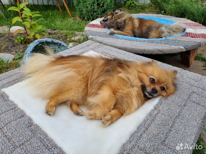 Гамак квадратный для собак и кошек