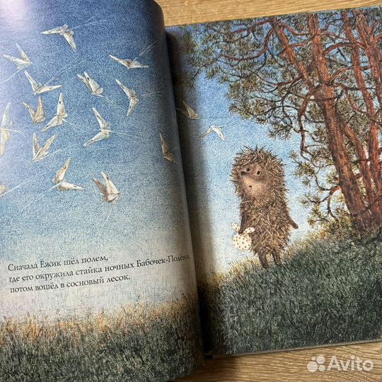 Ежик в тумане/ с автографом Ю.Норштейна