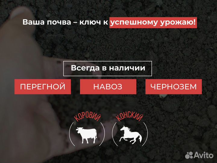 Перегной