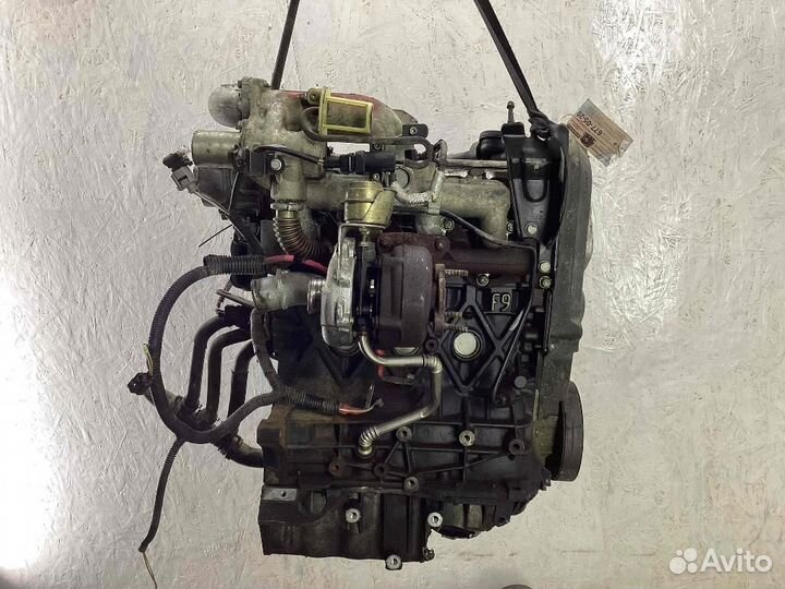 Двигатель Renault Megane F9Q 800