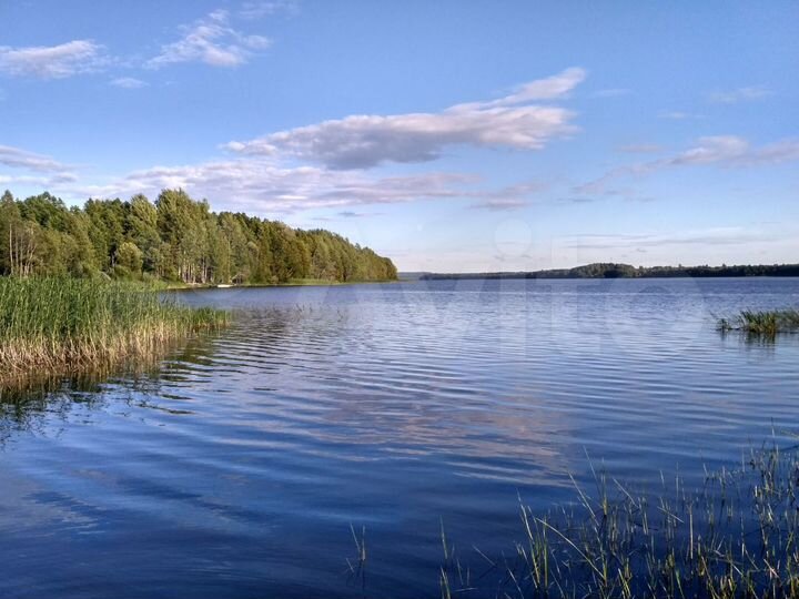 Участок 20 сот. (СНТ, ДНП)