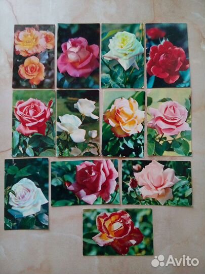 Открытки чсср и ссср. Розы