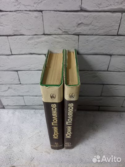 Поляков Ю. Избранное в 2 томах