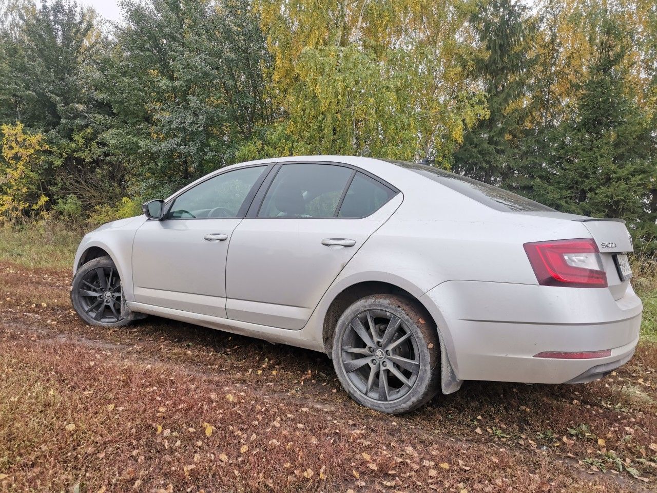 Skoda Octavia: фото владельца