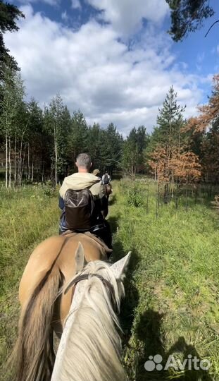 Конный поход (5 часов) на озеро Тальков Камень