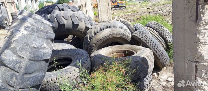 Покрышки бесплатно