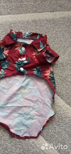 Рубашка Новая для кошек или маленьких собак