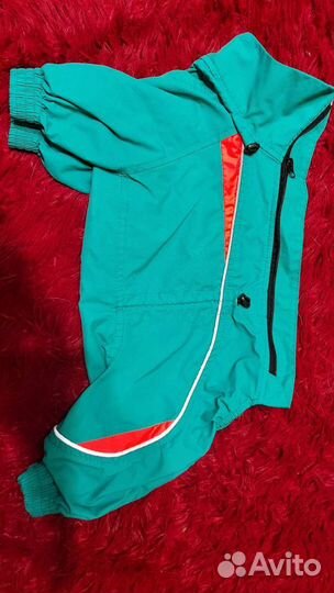 Комбинезон для собаки девочки