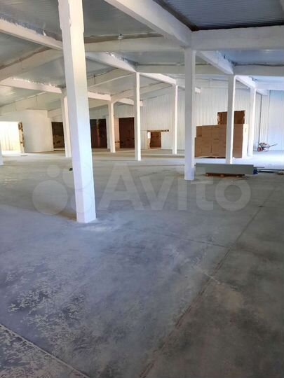 Торговая площадь, 4200 м²