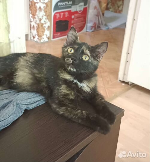 Заберите меня домой