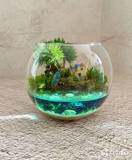 Флорариум Моосариум Подарок