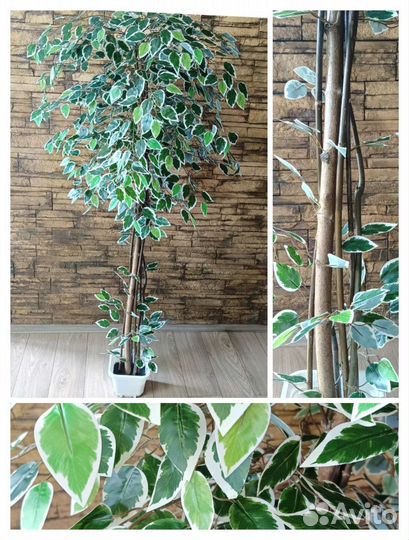 Фикус бенджамина искусственный