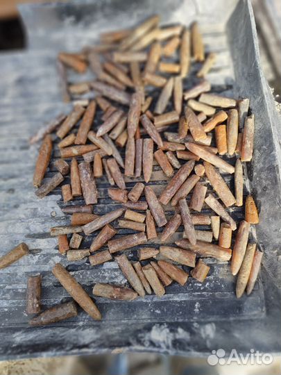 Белемниты чертовы пальцы