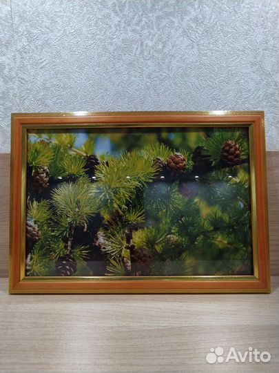 Фото природы в рамке