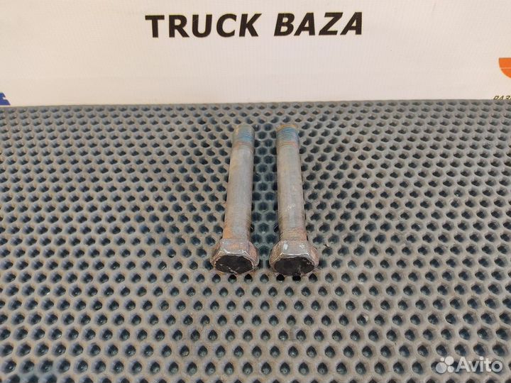 06028390018 Комплект болтов рессоры задней