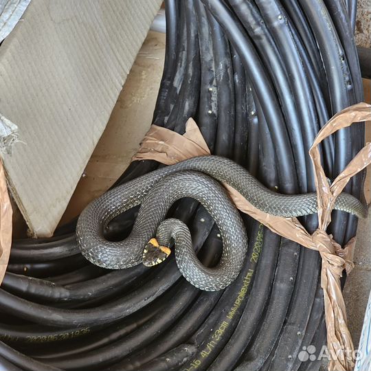 Капельный полив