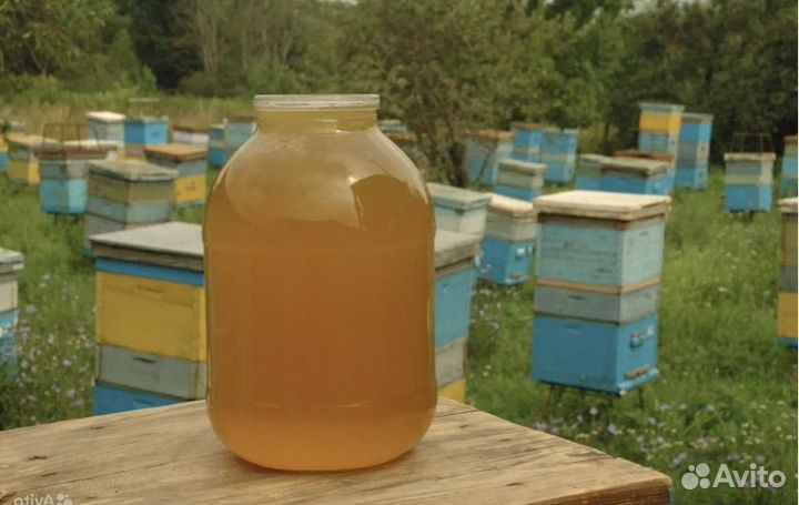Липовый мед