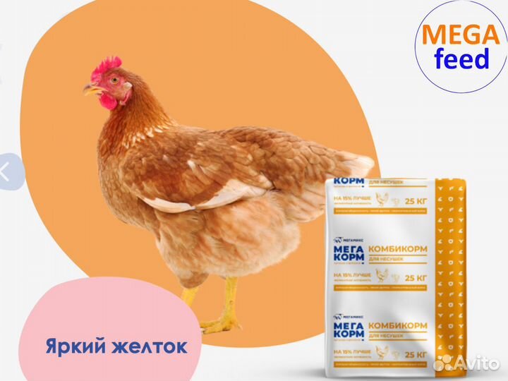 Комбикорм для с/х животных птиц