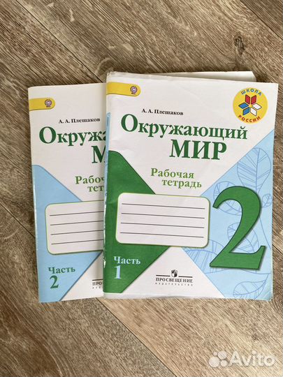 Рабочая тетрадь по окружающему миру 2 класс