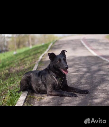 Ищу родителей