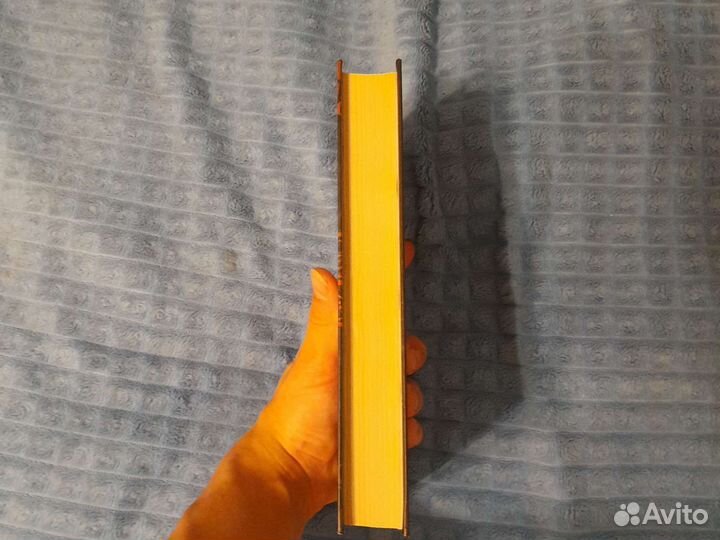 Евгений Гаглоев 