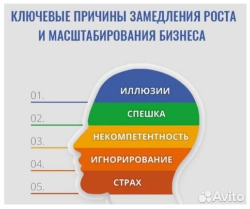 Управляющий брендом в e-commerce, WB/OZ, офлайн