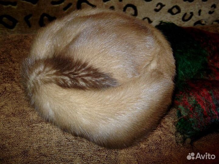 Отдадим даром шапку и шарф