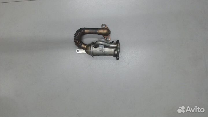 Охладитель отработанных газов Renault Clio, 2010