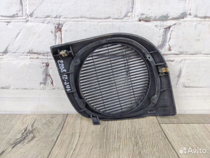 Сетка динамика передняя левая Carina E