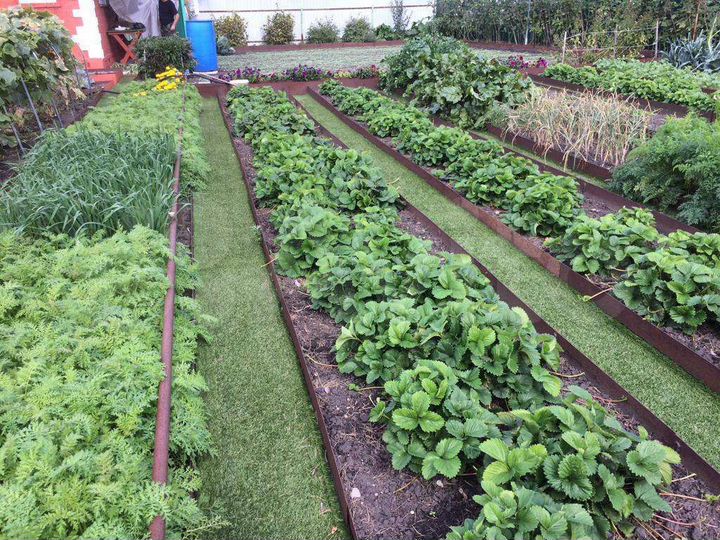 Дача 44 м² на участке 5,3 сот.