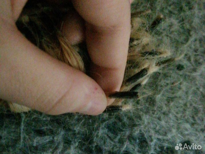 Волосы для наращивания 50 см