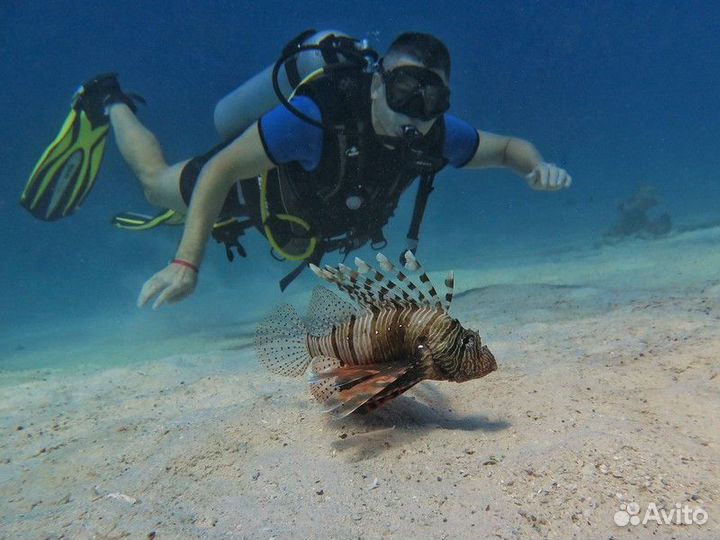 Хургада Топ-Экскурсия Дайвинг в Хургаде в мини-гру