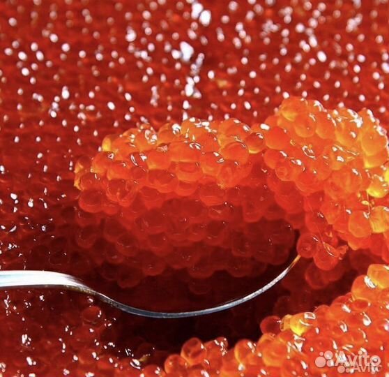 Красная икра горбуши