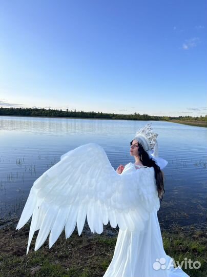 Образ принцесса лебедь врубель