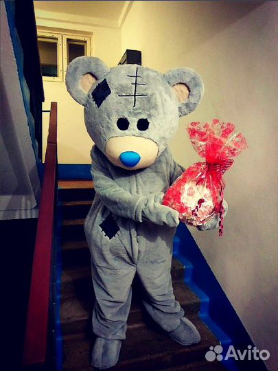 Мишка Тедди аниматор/курьер