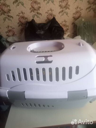 Переноска, шлейка, поилка