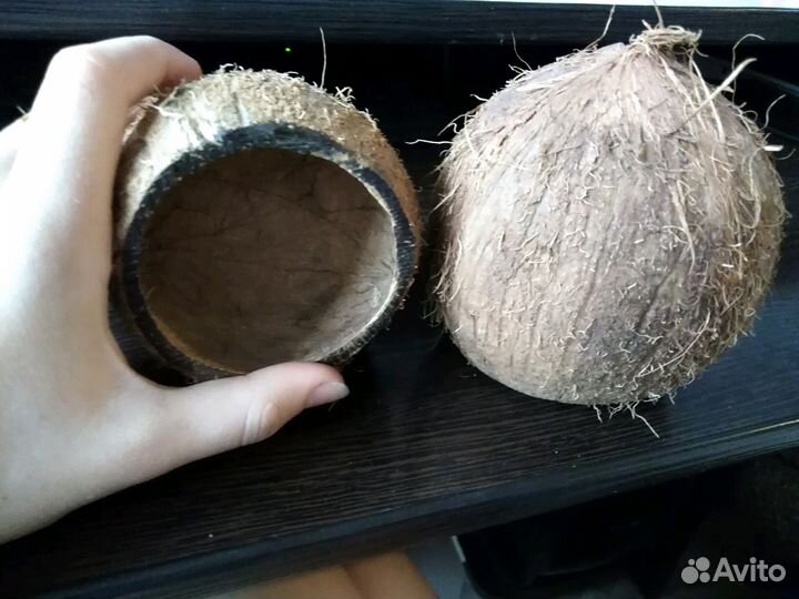 Кокосики домики для плавающих и ползучих