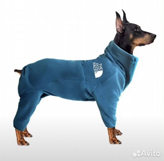 Одежда для собак