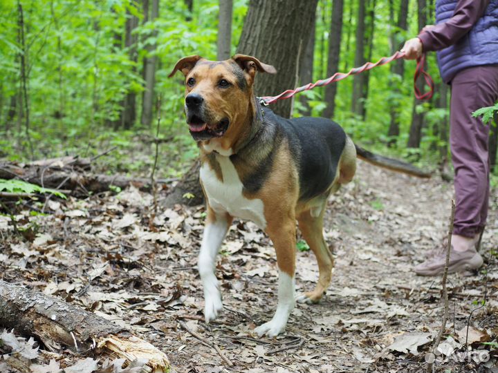 Боня ищет свою семью