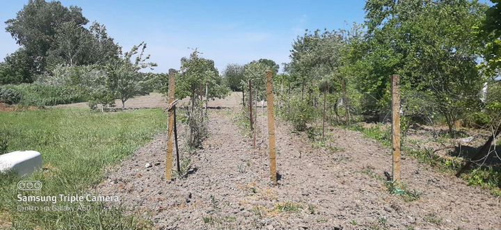 Дом 72 м² на участке 36 сот.