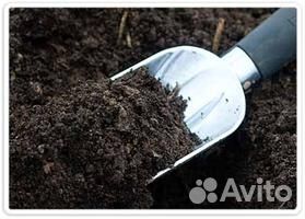 Торфогрунт