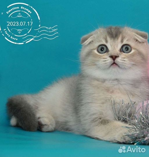 Шикарные плюшки для ваших любимых